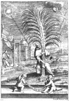 Rainerio, Carolus, of Arimini, Tractaus unicus veritatem-frontpiece