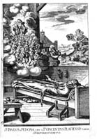 p.53a