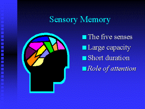 sensory memory